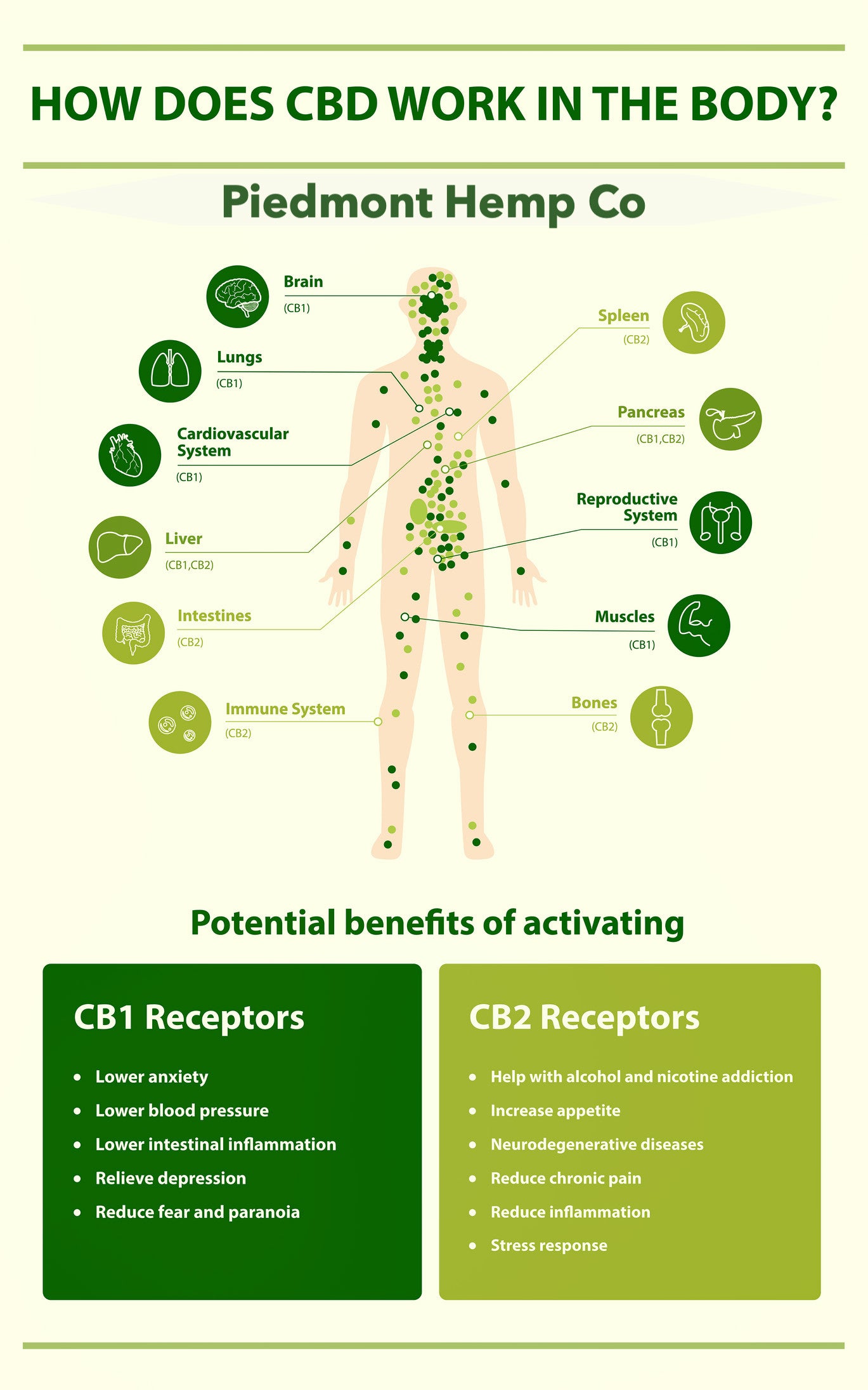The Endocannabinoid System (ECS) and Its Deficiencies: the New Science of Homeostasis