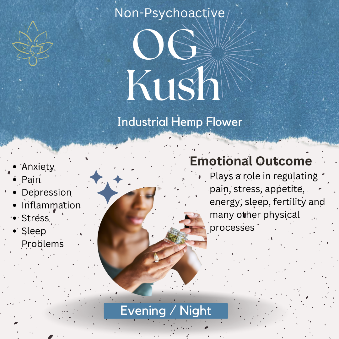 CBD OG Kush is your ally, offering a delicate balance that neither confines you to stillness nor overwhelms your senses. Its rich cannabinoid profile, complemented by a symphony of terpenes, crafts a therapeutic experience that reaches deep into your body's needs, addressing them with nature's precision.